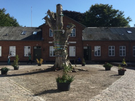 JPEG image-7315AA6AC97C-1